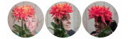 Naar de startpagina